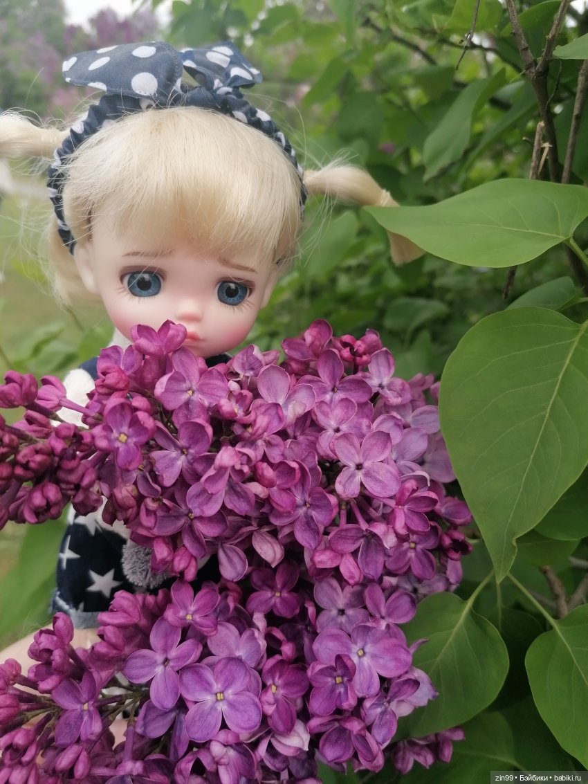 Плыл по городу запах сирени