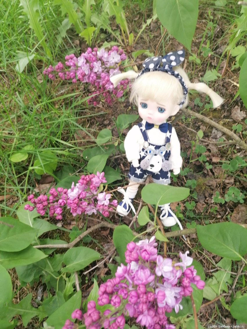 Плыл по городу запах сирени