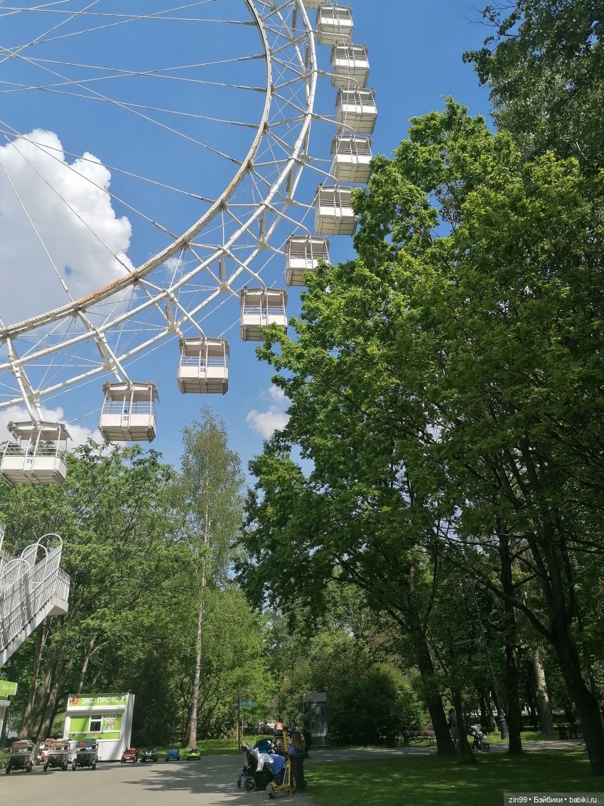 Прогулка в Измайловском парке (фото 6)