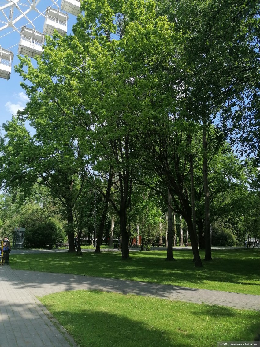 Прогулка в Измайловском парке (фото 8)