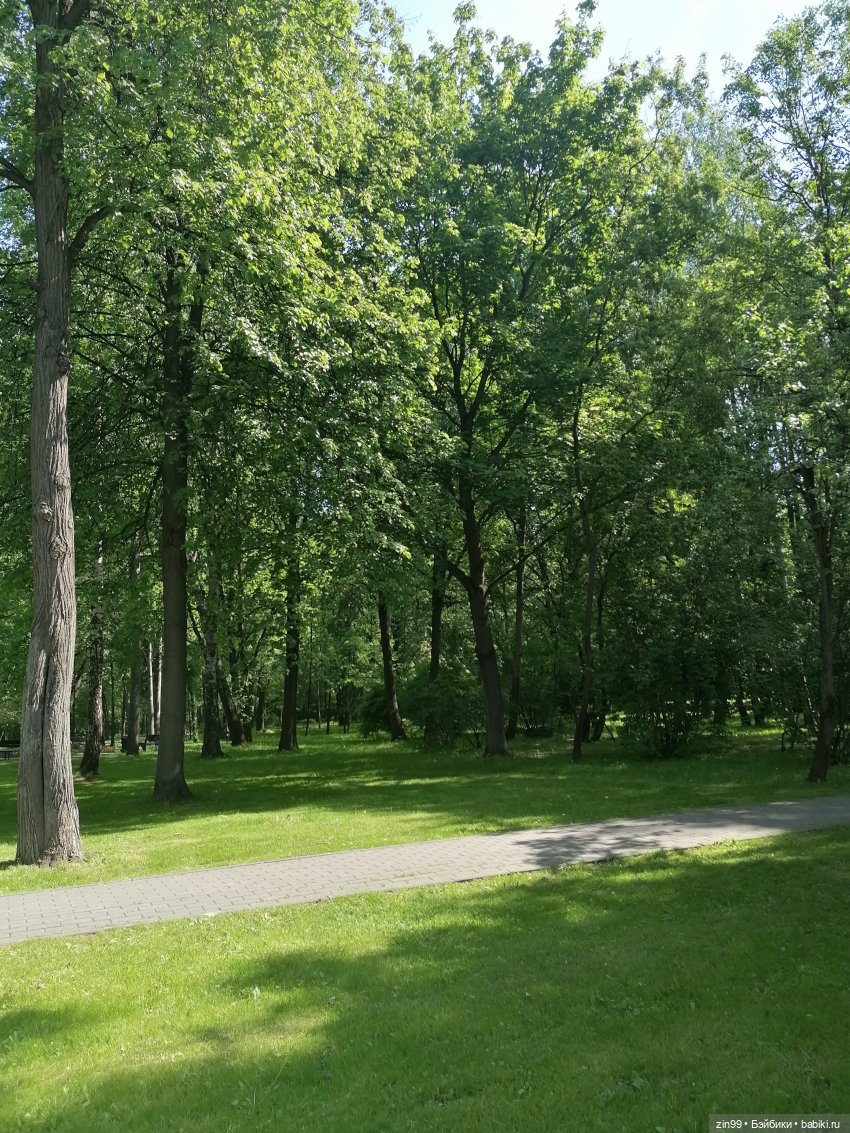 Прогулка в Измайловском парке (фото 7)