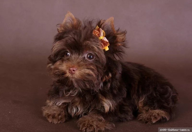 Прогулка в Измайловском парке