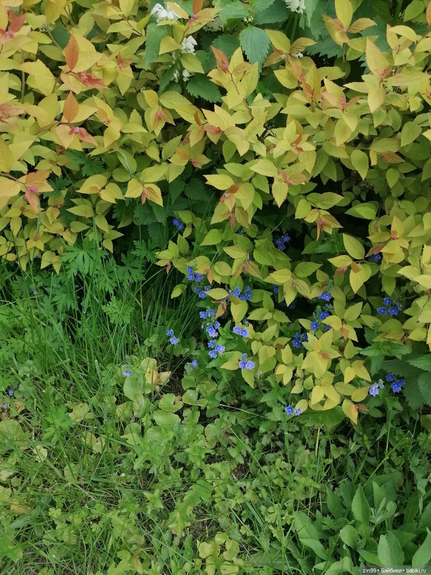 Прогулка в Измайловском парке