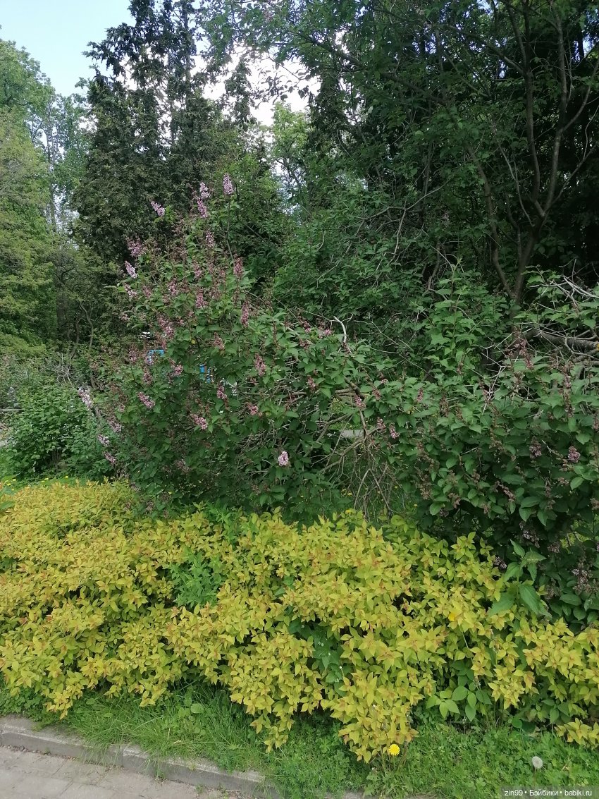 Прогулка в Измайловском парке