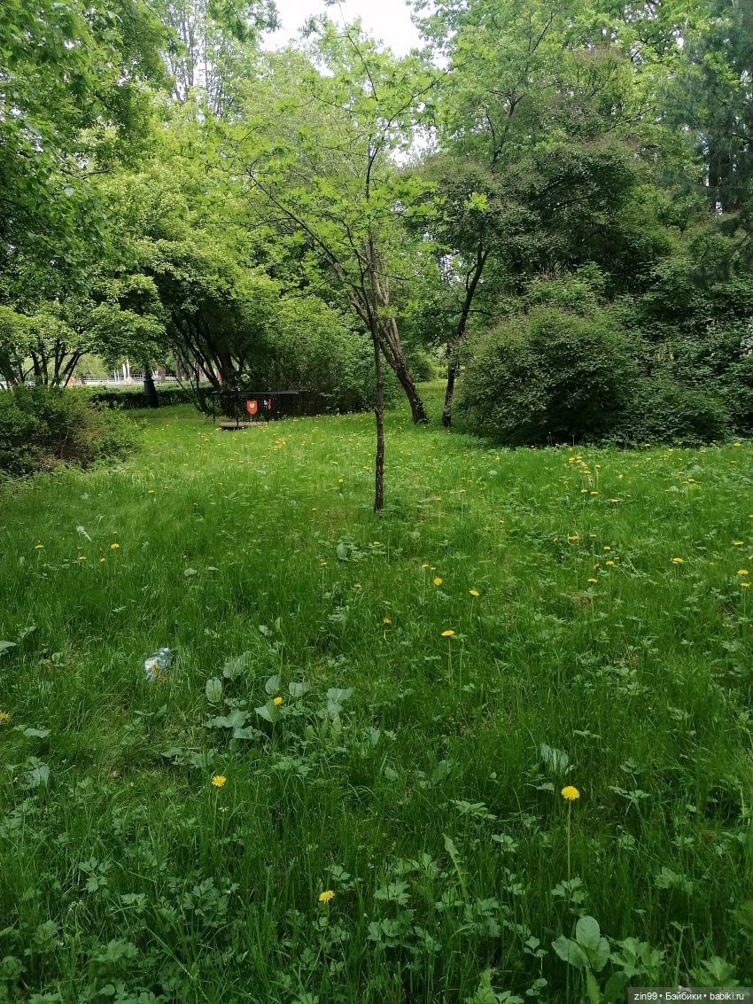 Прогулка в Измайловском парке