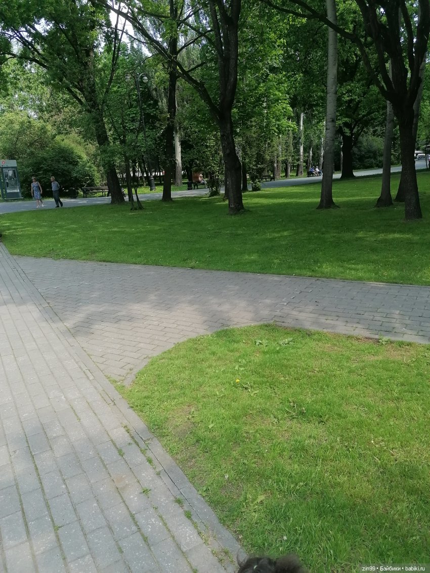 Прогулка в Измайловском парке (фото 9)