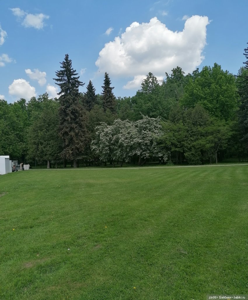 Прогулка в Измайловском парке