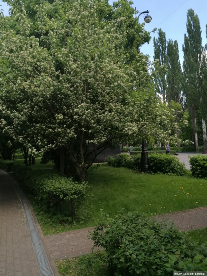 Прогулка в Измайловском парке