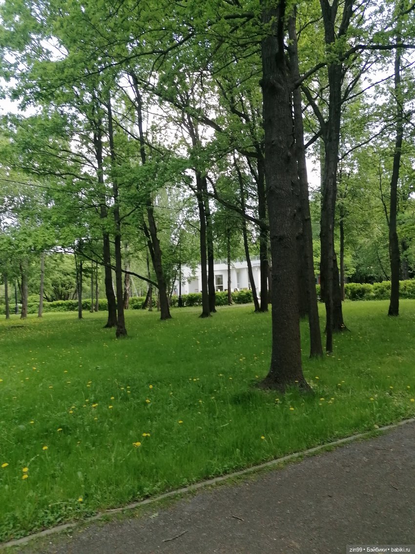 Прогулка в Измайловском парке