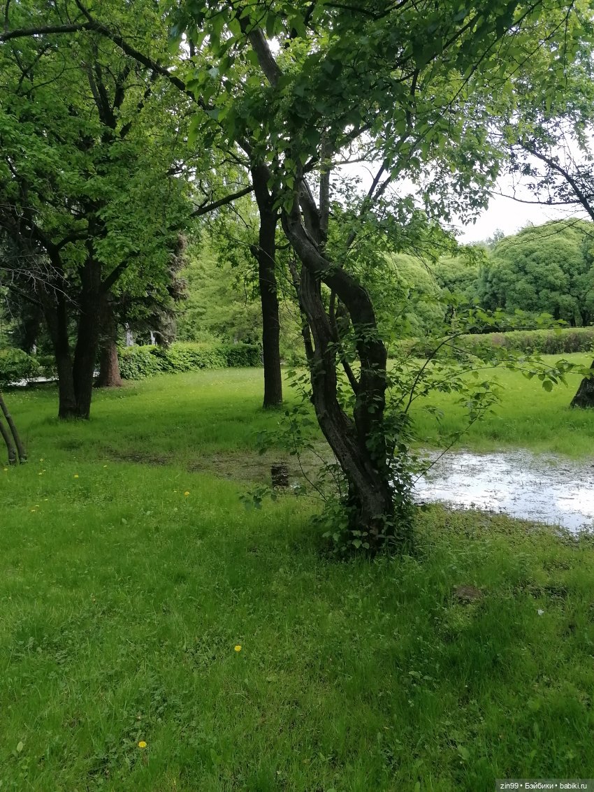 Прогулка в Измайловском парке