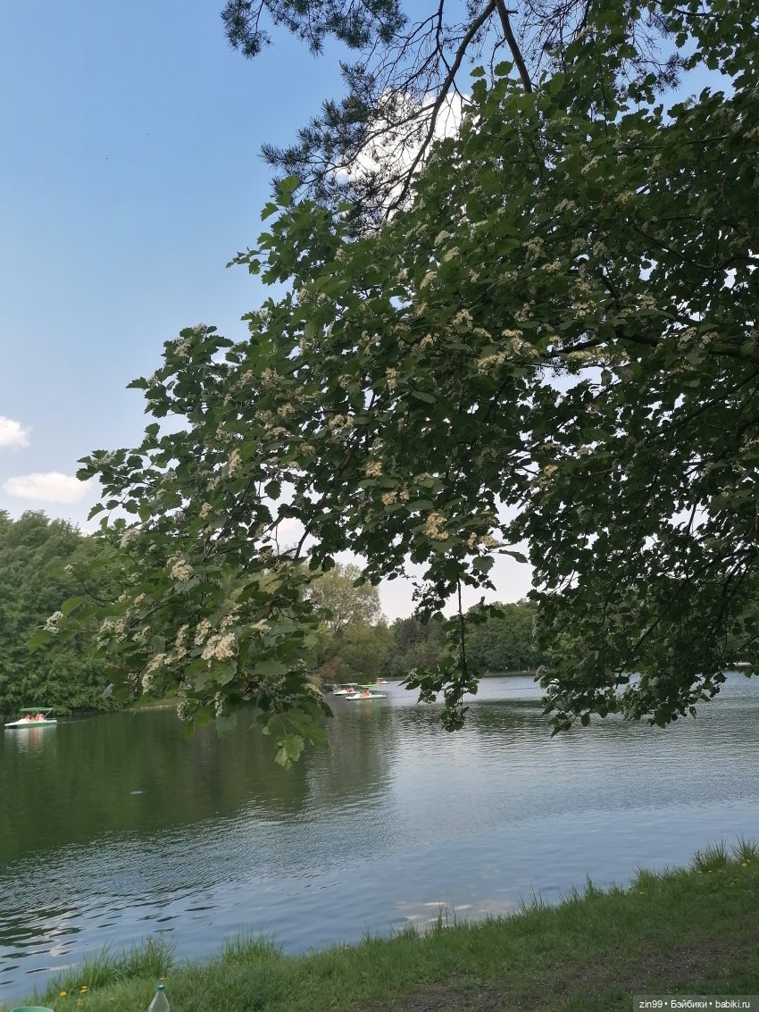 Прогулка в Измайловском парке