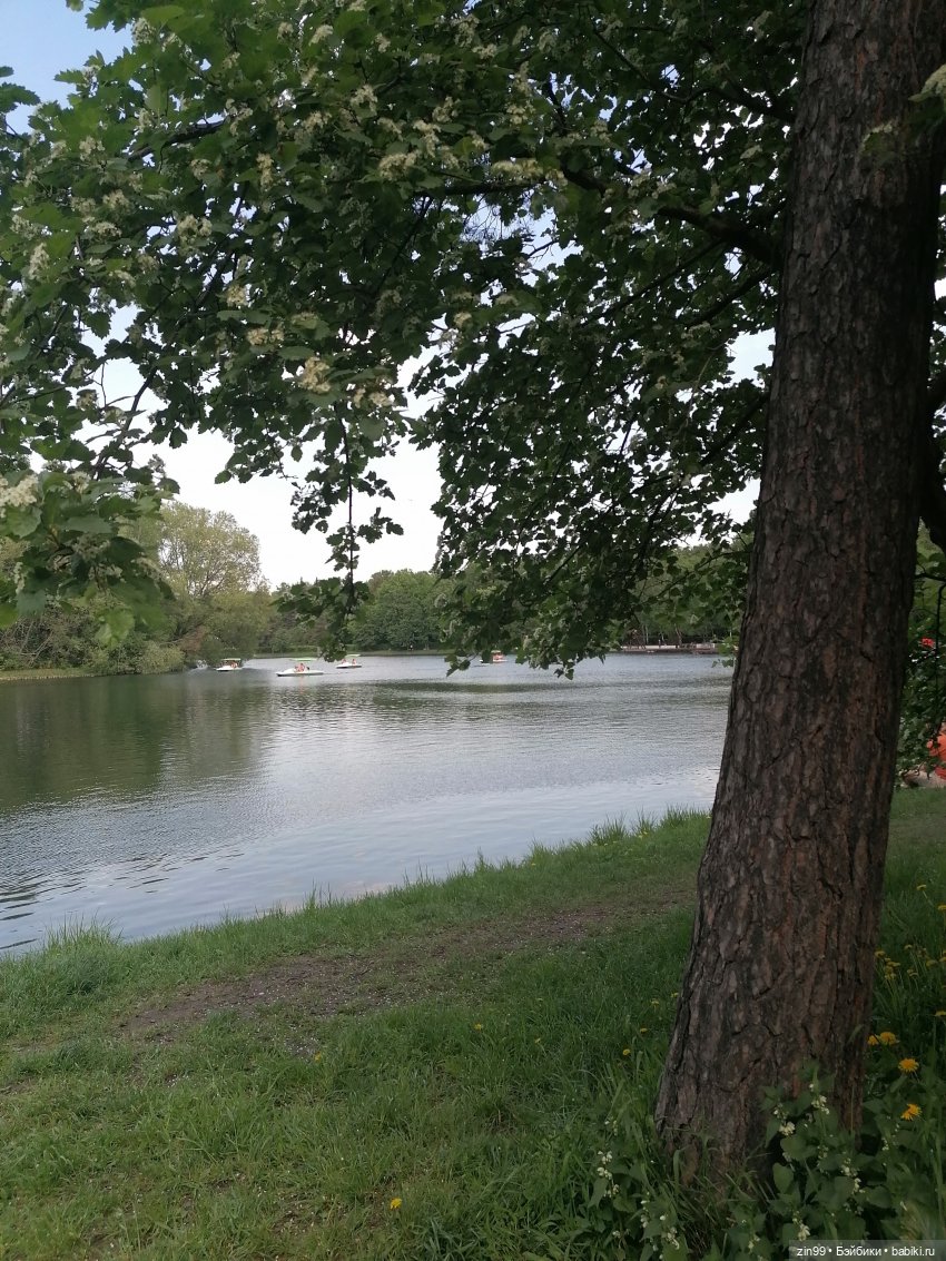 Прогулка в Измайловском парке