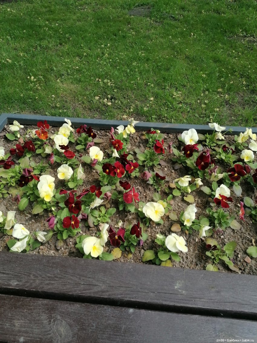 Прогулка в Измайловском парке