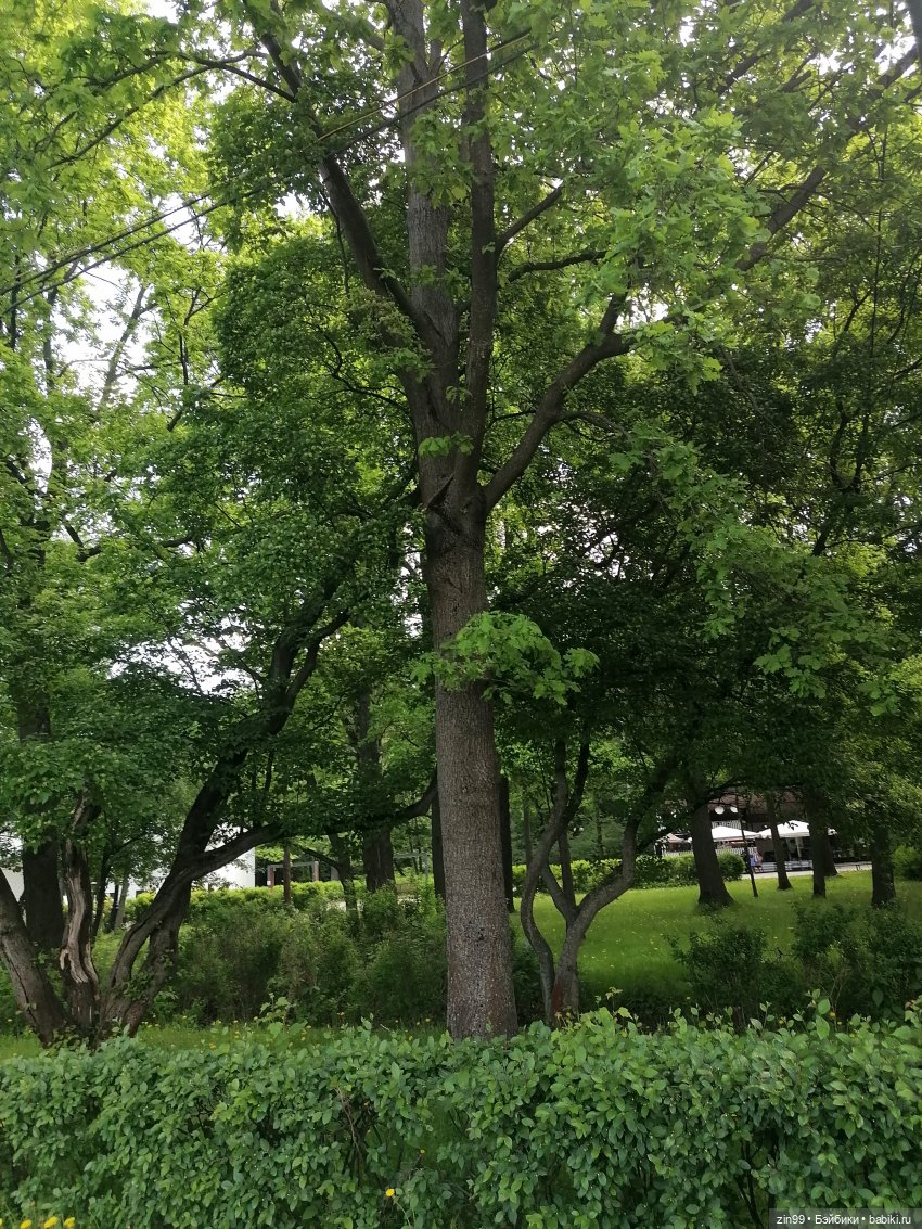 Прогулка в Измайловском парке