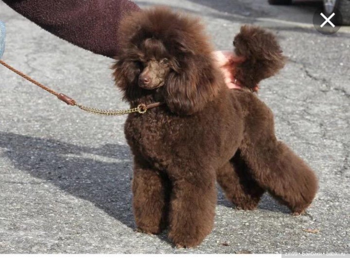 Прогулка в Измайловском парке