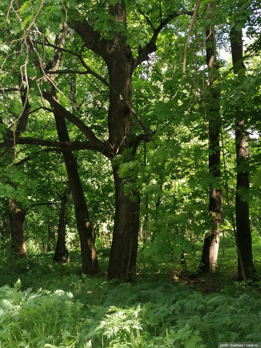 Две Rainbow High голубые, синие (фото 7)