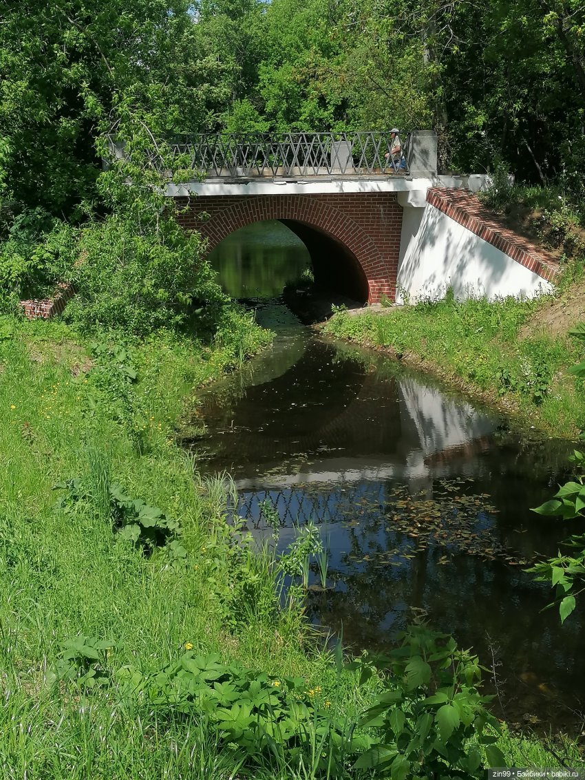 Две Rainbow High голубые, синие