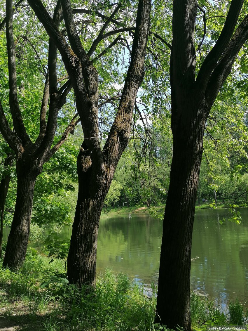 Две Rainbow High голубые, синие (фото 10)