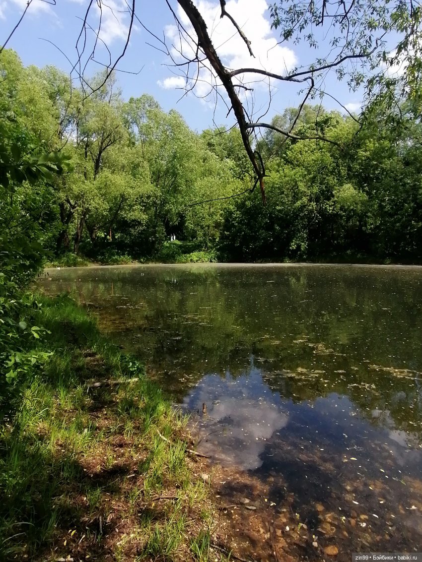 Две Rainbow High голубые, синие