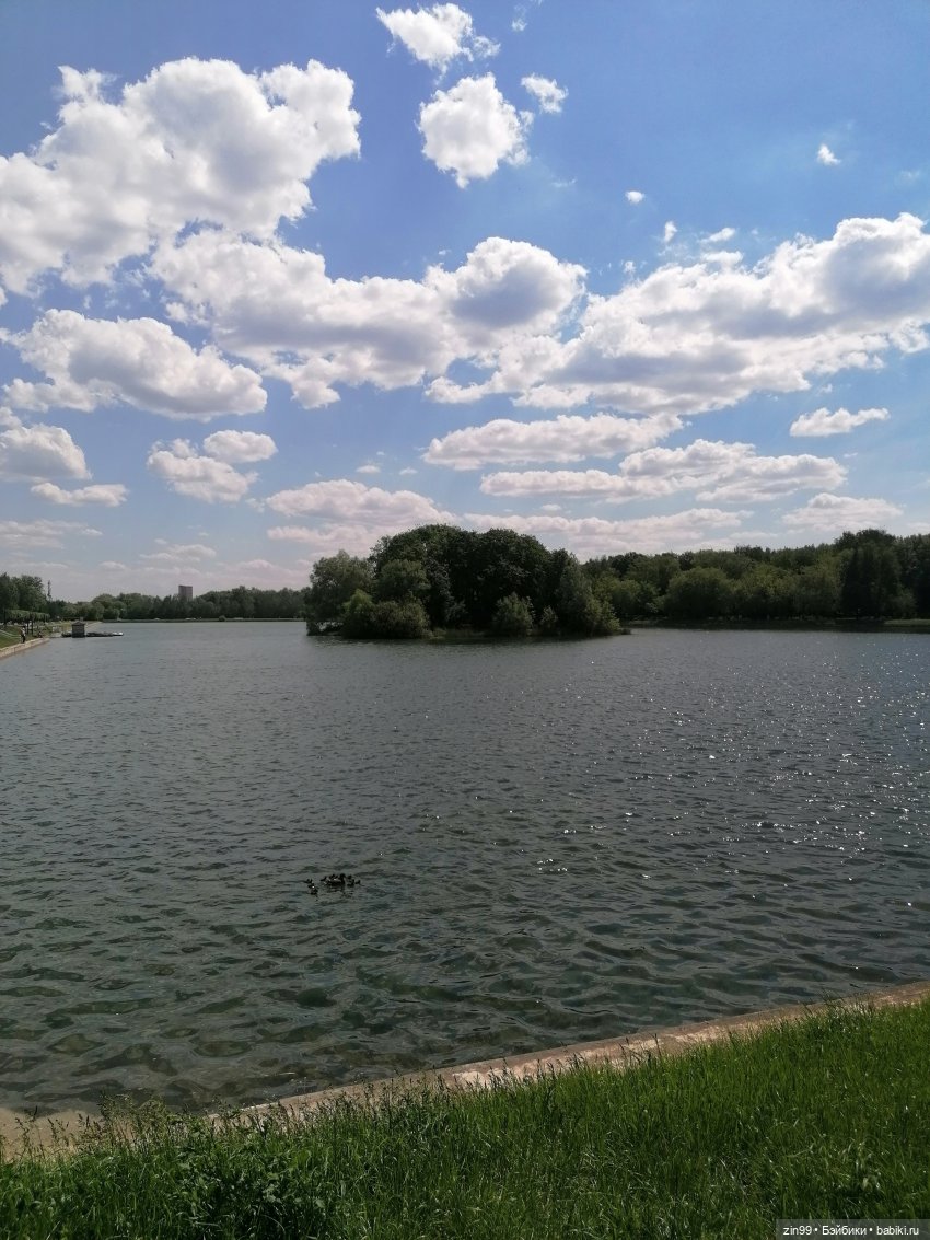 Две Rainbow High голубые, синие