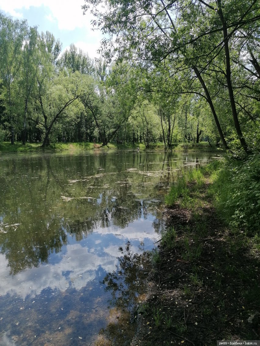 Две Rainbow High голубые, синие