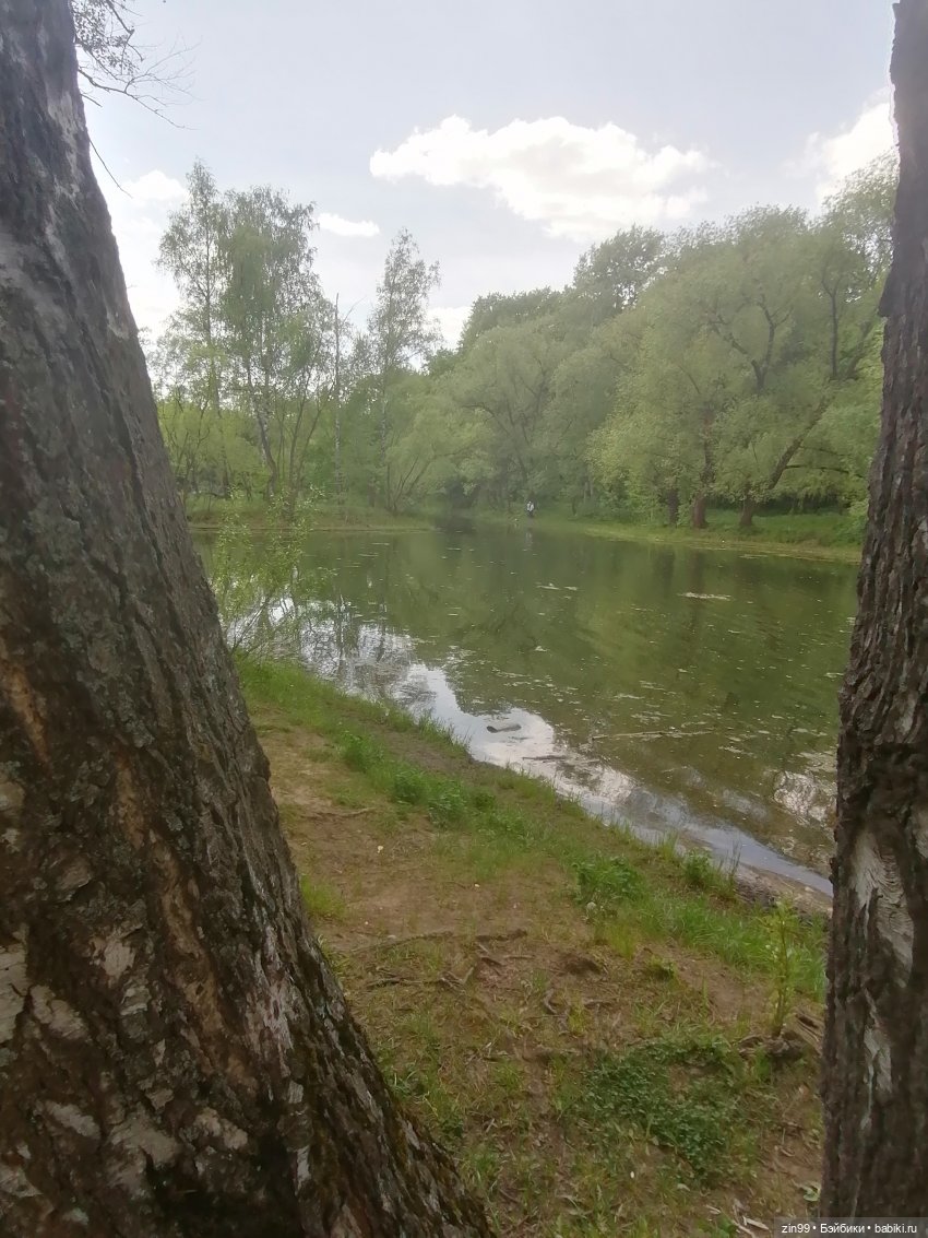 Две Rainbow High голубые, синие