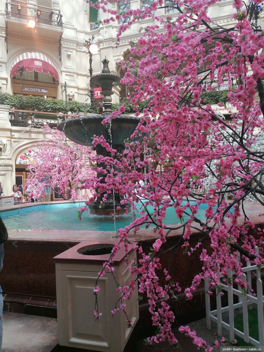 День мороженного в ГУМе — Игровые куклы разных производителей (Разное): редкие бренды