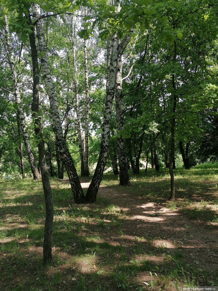 Оливия от Ллоренс — Куклы Llorens (Ллоренс): испанские пупсы