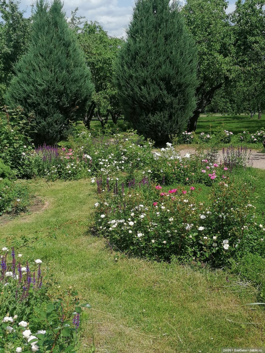 Оливия от Ллоренс — Куклы Llorens (Ллоренс): испанские пупсы