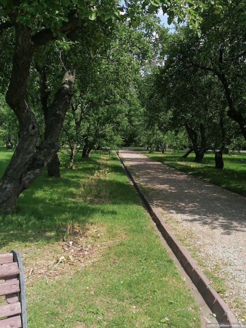 Оливия от Ллоренс — Куклы Llorens (Ллоренс): испанские пупсы