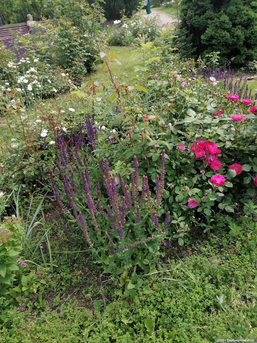 Оливия от Ллоренс — Куклы Llorens (Ллоренс): испанские пупсы