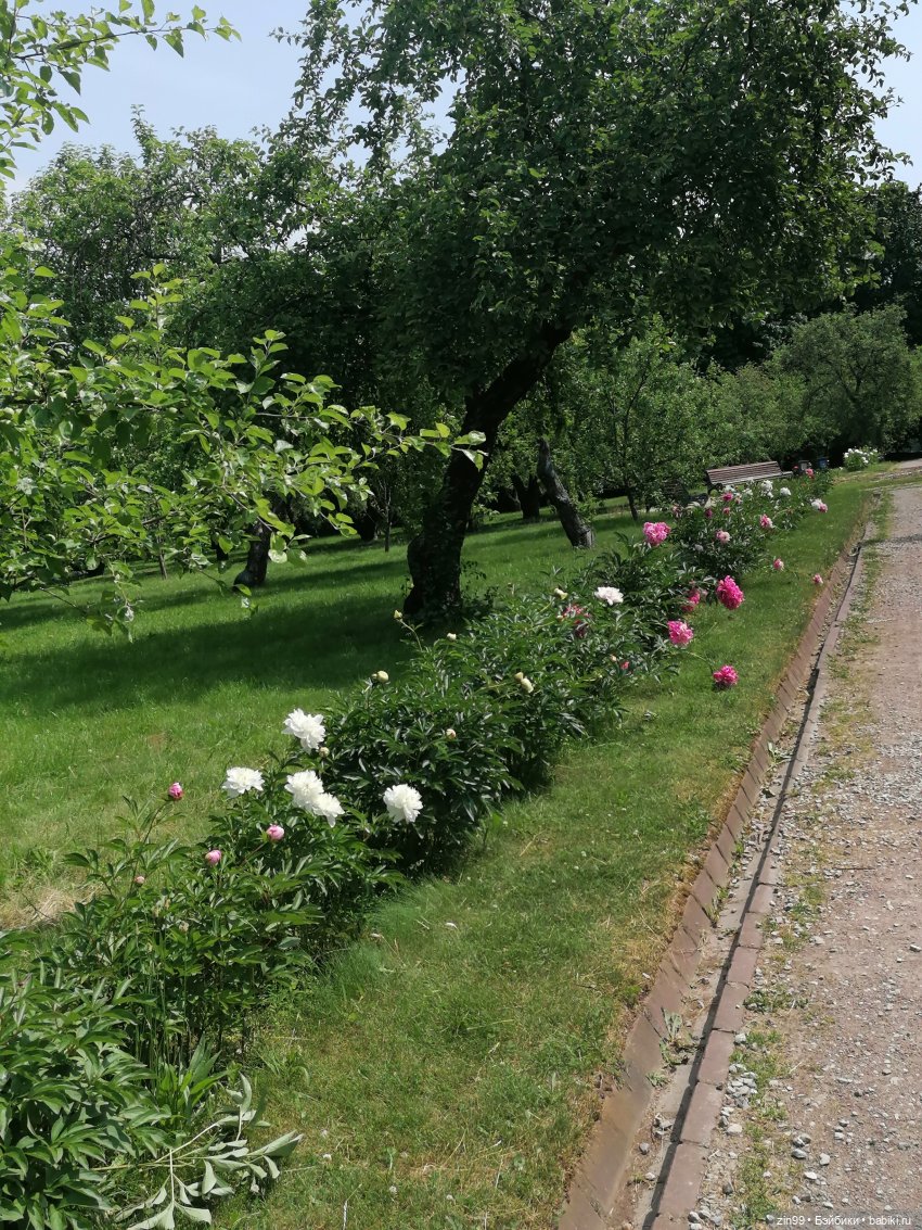 Оливия от Ллоренс — Куклы Llorens (Ллоренс): испанские пупсы