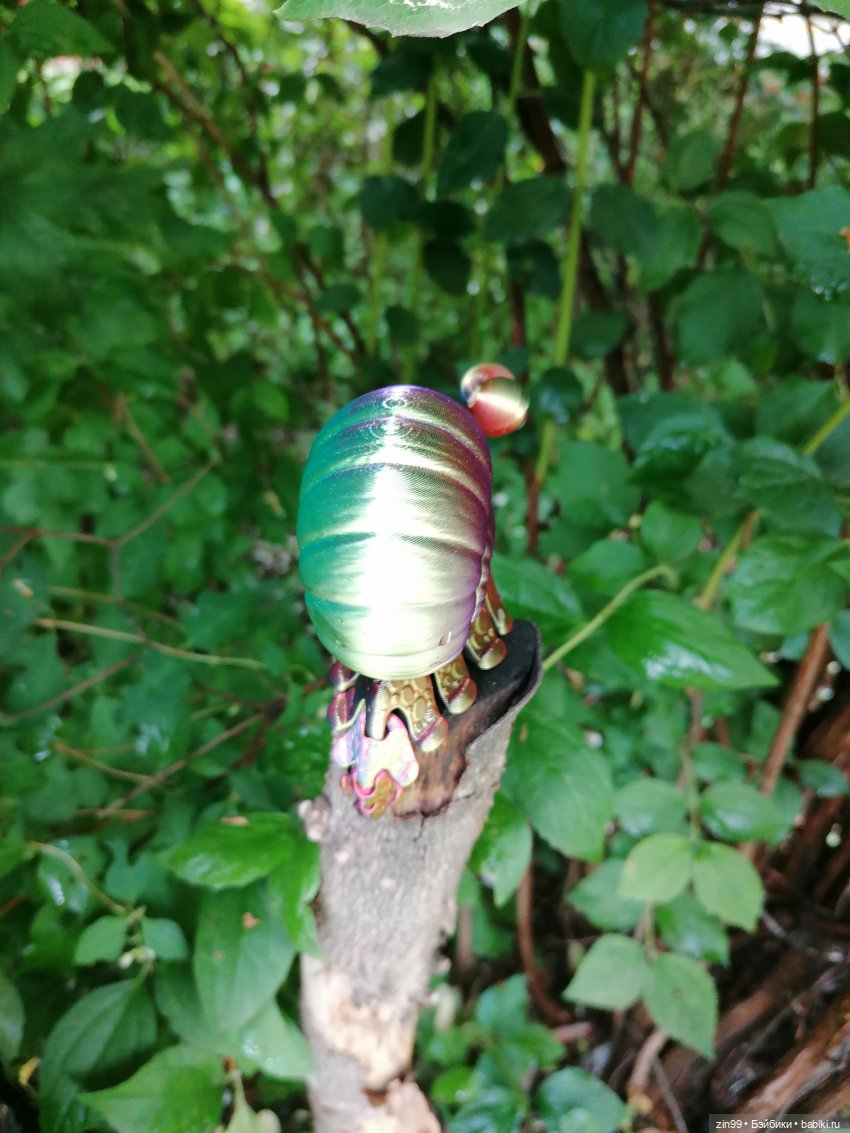 Подвижная улитка и Коты — Куклы Rainbow High (Рейнбоу Хай