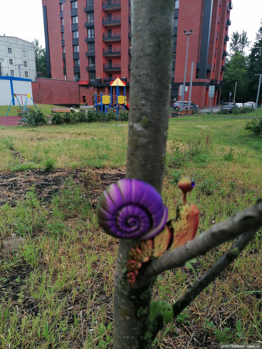 Подвижная улитка и Коты — Куклы Rainbow High (Рейнбоу Хай