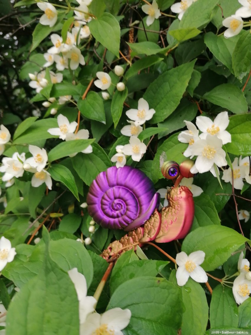 Подвижная улитка и Коты — Куклы Rainbow High (Рейнбоу Хай (фото 7)