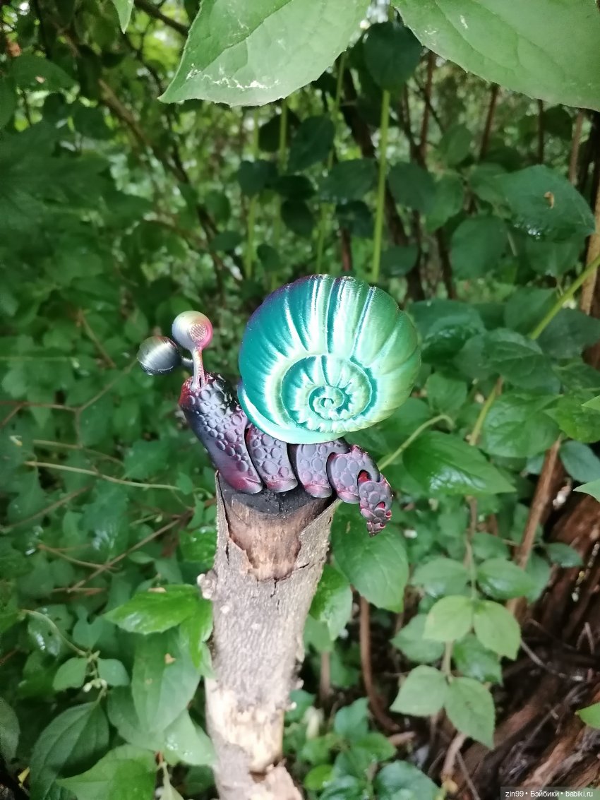 Подвижная улитка и Коты — Куклы Rainbow High (Рейнбоу Хай