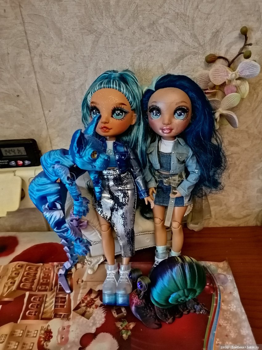 Подвижная улитка и Коты — Куклы Rainbow High (Рейнбоу Хай