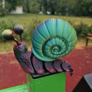 Подвижная улитка и Коты