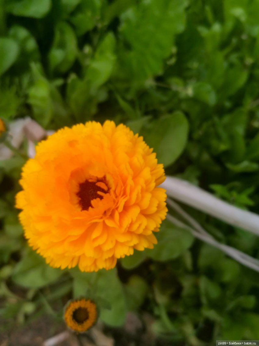 Большие Баболи еще две — Куклы Baboliy (Баболи