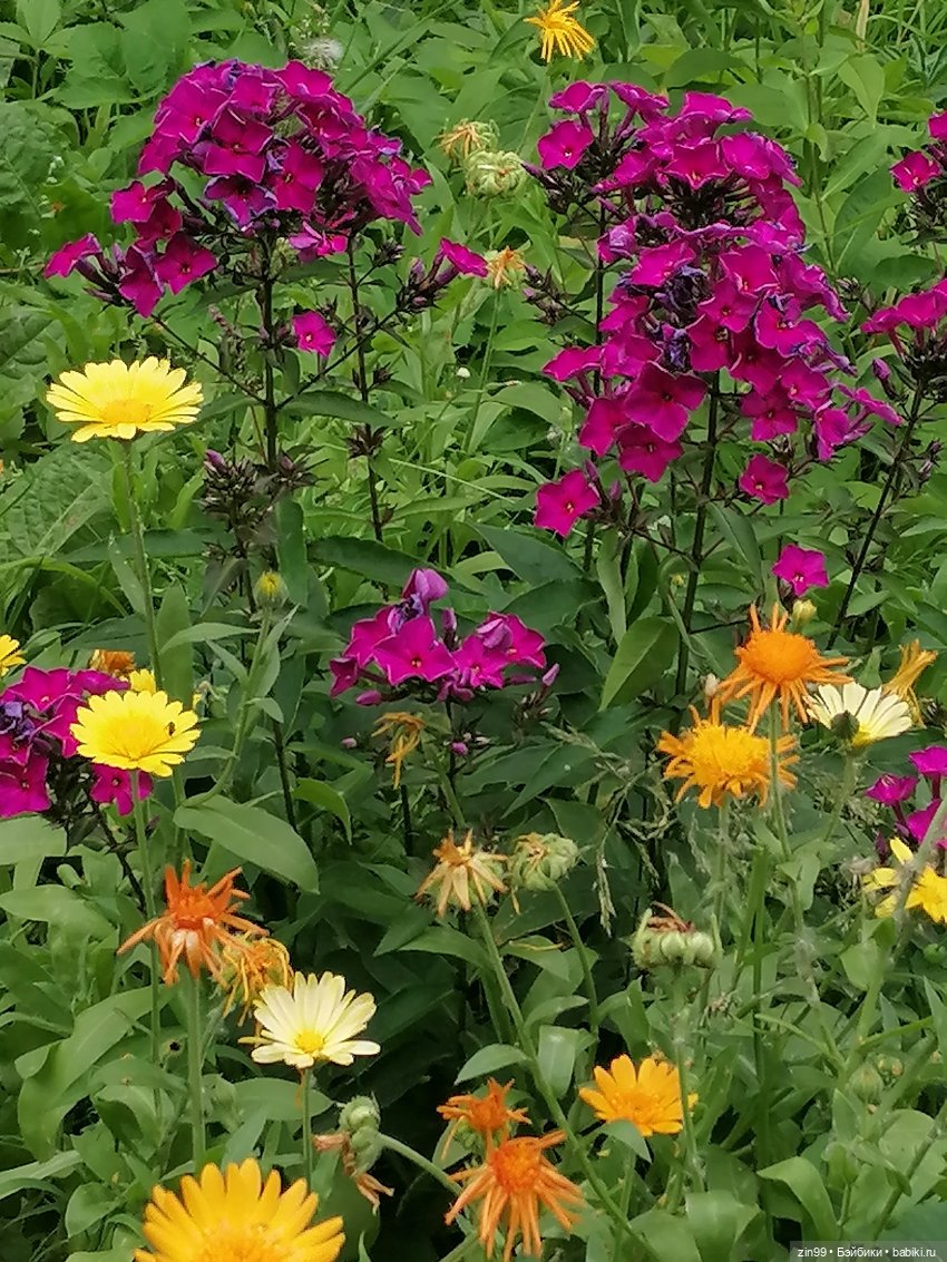 Похожая кукла — Куклы Rainbow High (Рейнбоу Хай