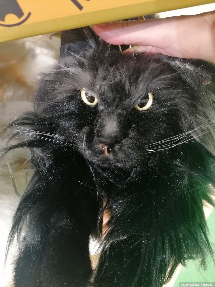 Новая Улитка и прогулка — Аниме куклы (MJD/Винил): Imomo