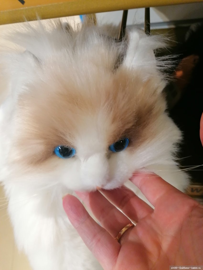 Новая Улитка и прогулка — Аниме куклы (MJD/Винил): Imomo