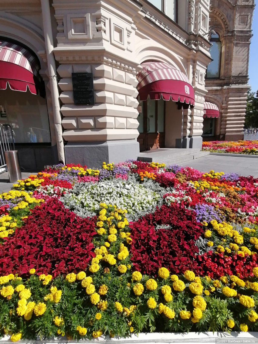 У нас -фестиваль культуры Вьетнама