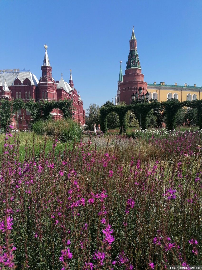 У нас -фестиваль культуры Вьетнама