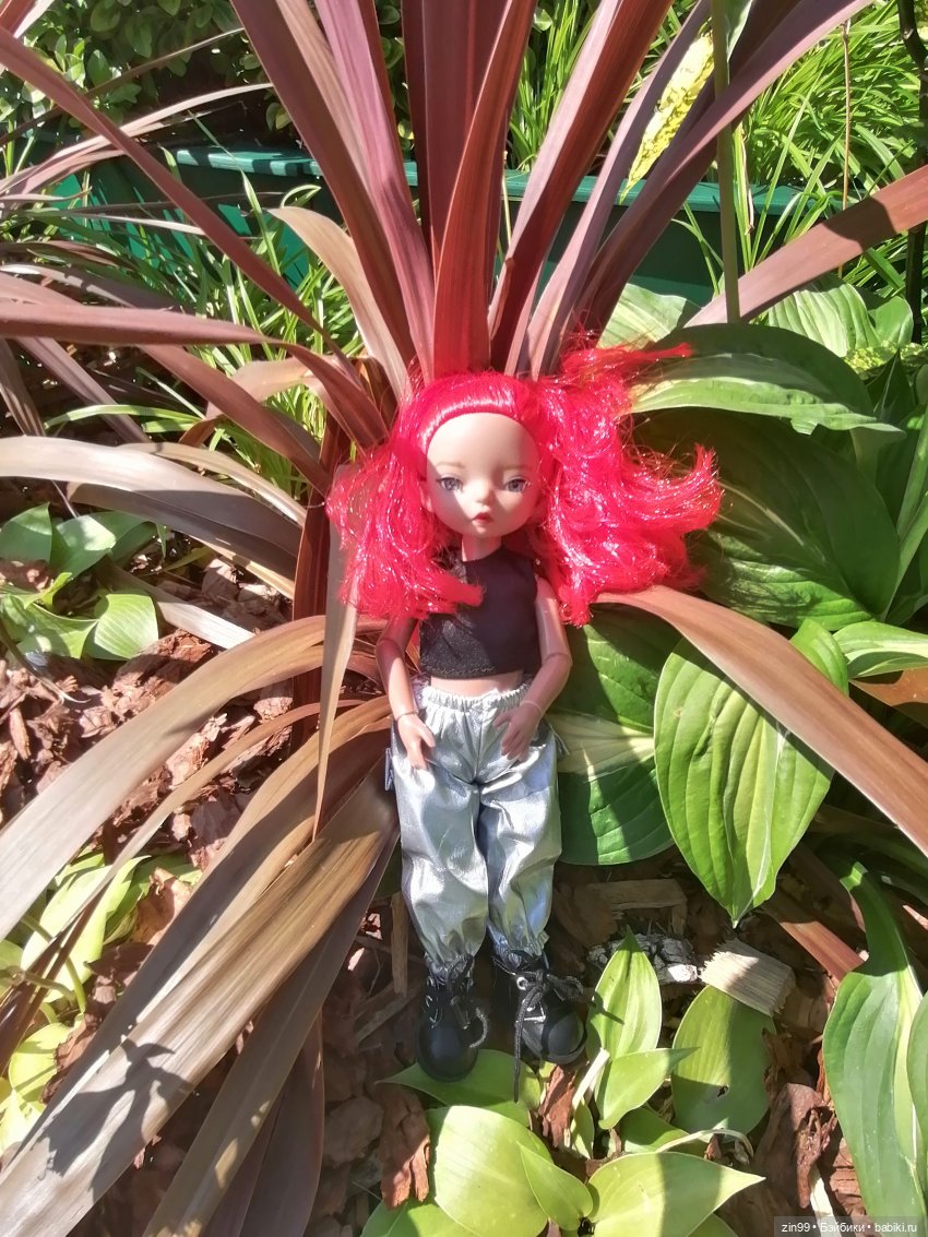 У нас -фестиваль культуры Вьетнама