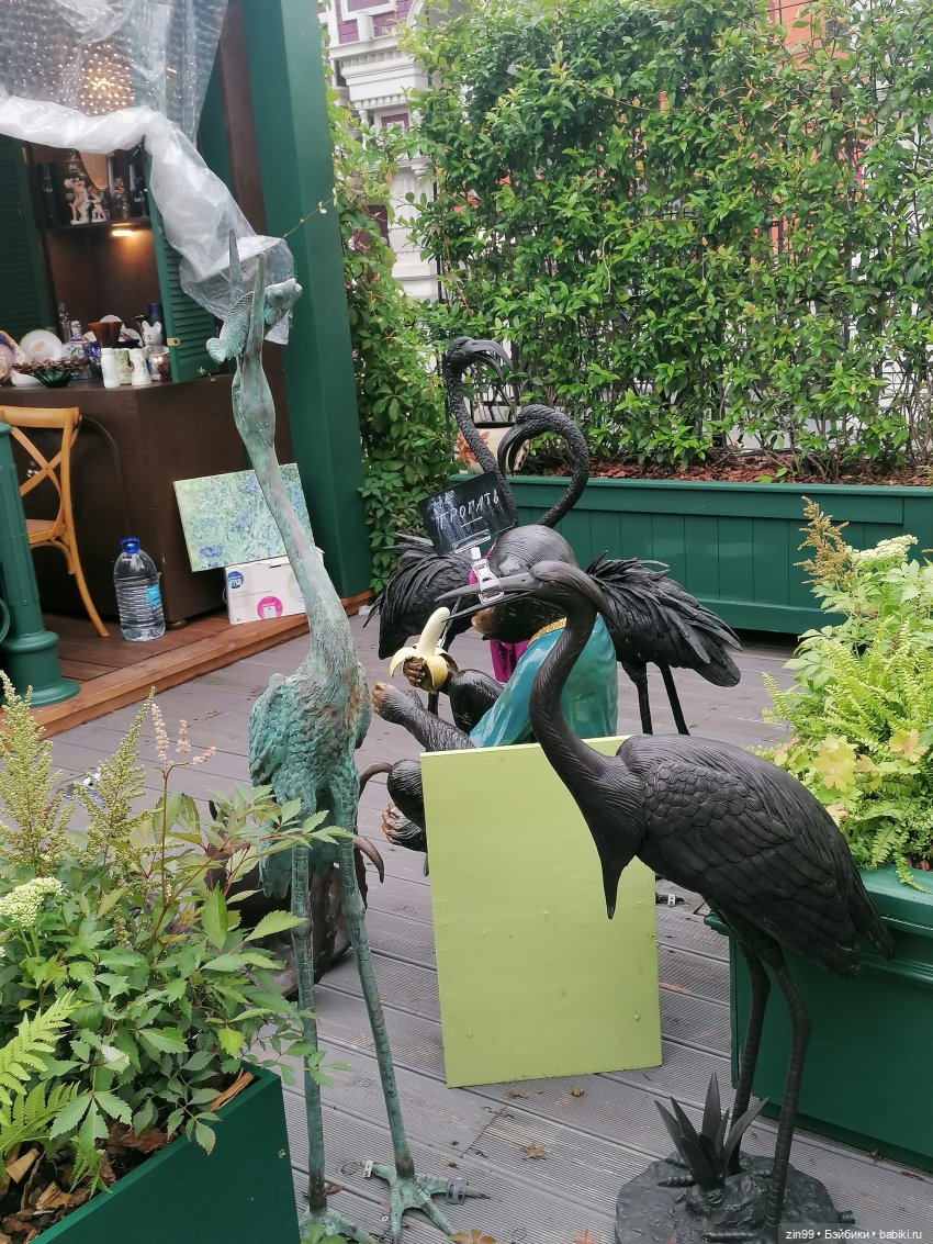 Лето в Московских сезонах, август и центр (фото 10)