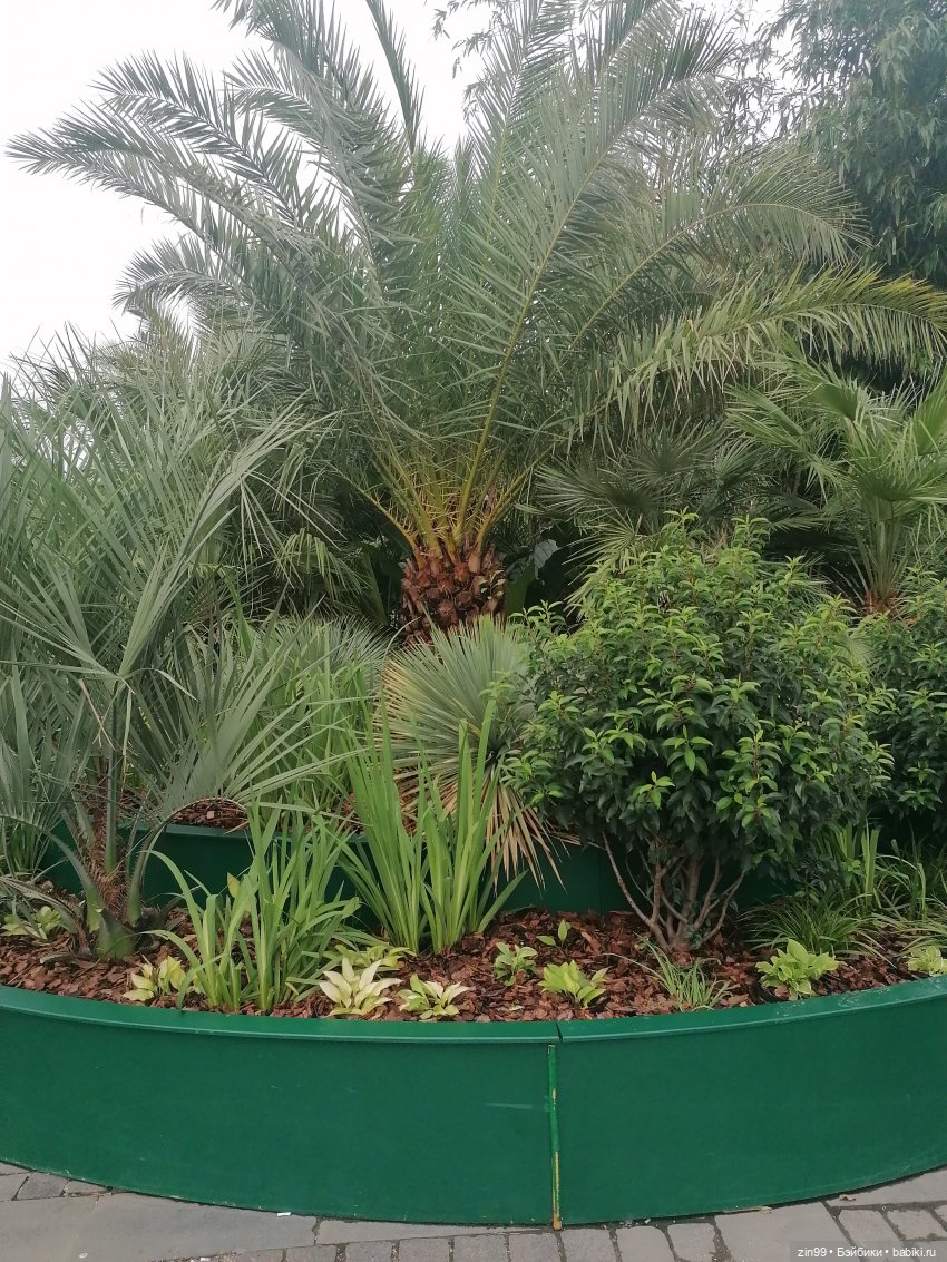 Кукла Shadow High Series 3 Pinkie