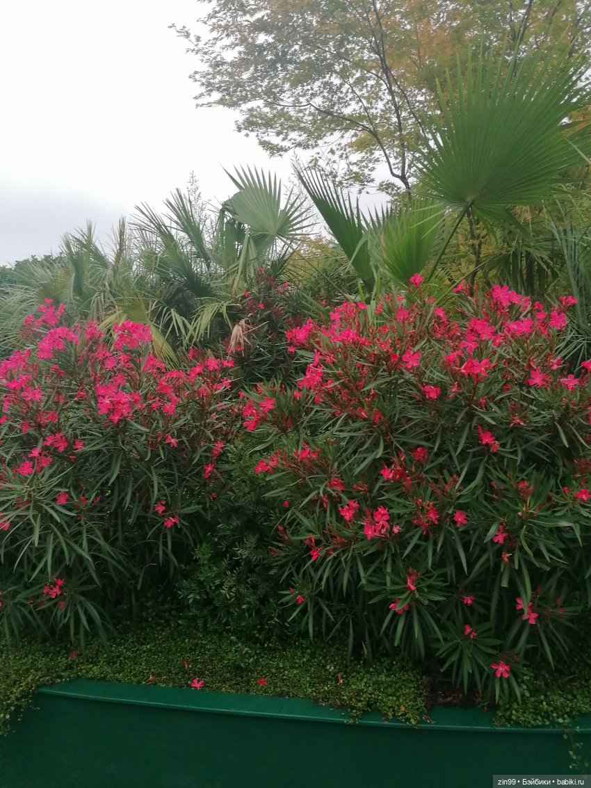 Кукла Shadow High Series 3 Pinkie