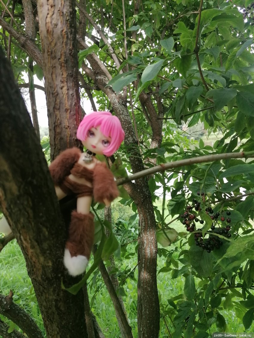 Прогулка по парку — Игровые куклы разных производителей (Разное): редкие бренды (фото 8)