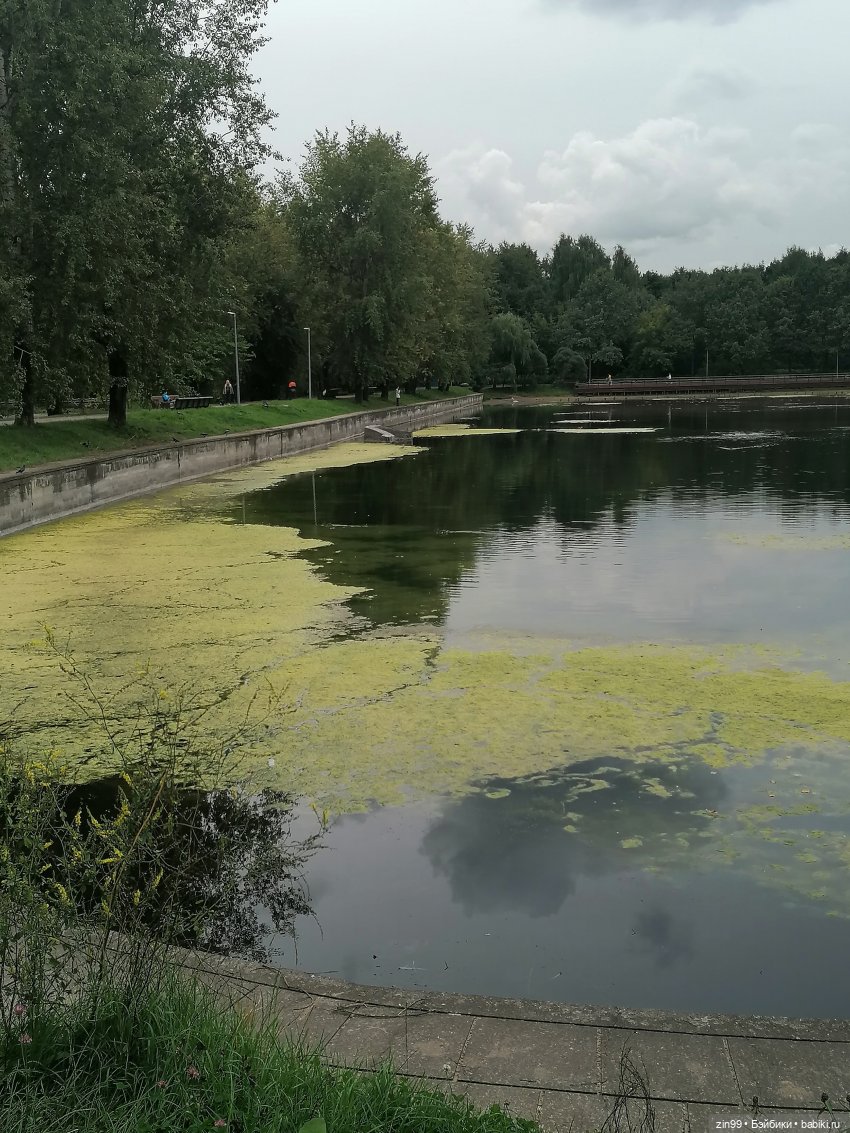 Прогулка по парку — Игровые куклы разных производителей (Разное): редкие бренды